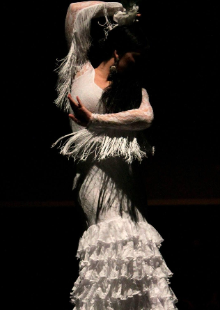 Espectáculo Opera Flamenca en Madrid