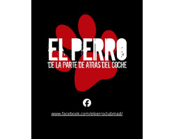 El Perro de la Parte de Atrás del Coche